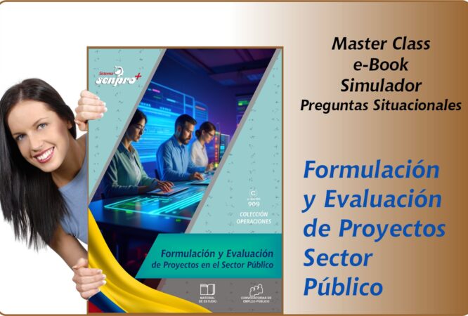 909 FE Proyectos senpro